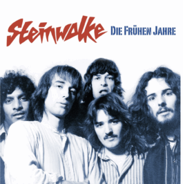 Steinwolke Band